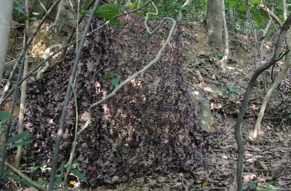 RETE CAMO A FOGLIA AUTUNNO 1,5 X 5 METRI